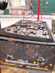 IMG_6640.jpg