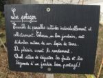 IMG_7806.jpg