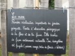 IMG_7816.jpg
