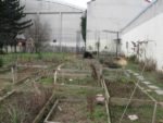 Les parcelles