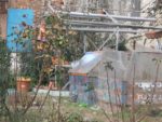 IMG_7971.jpg