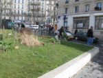 IMG_7995-2.jpg