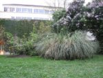 Le jardin d'Alice