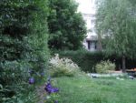 Le jardin d'Alice