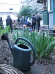 Le jardin d'Alice