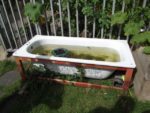 une baignoire en guise de plan d'eau