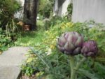 Le_Clos_Garcia_-_Paris_20eme_-_Aout_2011_23_.jpg
