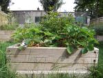 Le_Clos_Garcia_-_Paris_20eme_-_Aout_2011_8_.jpg