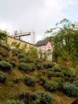 P1018317-2.jpg