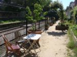 Les cerisiers offerts par Sophe Barbaux suite à son installation "Hanami" au "104"