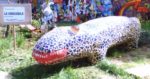 crocodileW.jpg