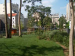file_24839.jpg