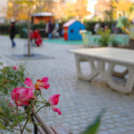 file_35129.jpg