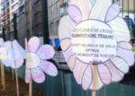 fleurs_ecole.jpg