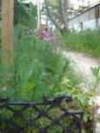 fond_du_jardin.jpg