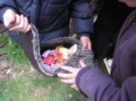 img_3147.jpg