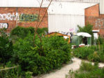 img_6457.jpg