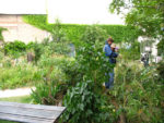img_6461.jpg