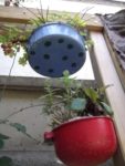 jardin_d_leon_-_ete_2011_15_.jpg