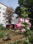 jardin_d_leon_-_ete_2011_19_.jpg
