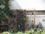 jardin_d_leon_-_ete_2011_3_.jpg