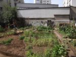 jardin_d_leon_-_ete_2011_4_.jpg