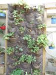 jardin_d_leon_-_ete_2011_6_.jpg