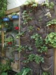 jardin_d_leon_-_ete_2011_8_.jpg