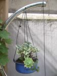 jardin_d_leon_-_ete_2011_9_.jpg