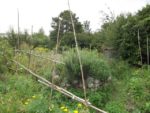 le_sens_de_l_humus_-_montreuil_-_1_48_.jpg