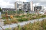 Vue d'ensemble du jardin sur le toit qui surplombe les toitures du quartier de la rue des Haies 20e