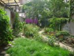 verdure.jpg
