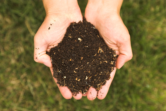 Dossier compost