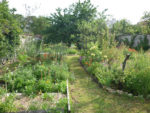p1000995-2.jpg