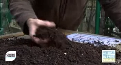 reportage sur le compost à Paris