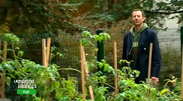 le compost domestique