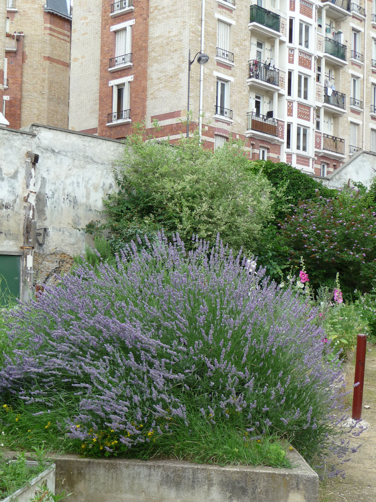 Un p’tit bol d’air