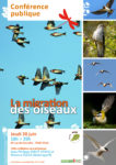affichemigrationoiseaux.jpg