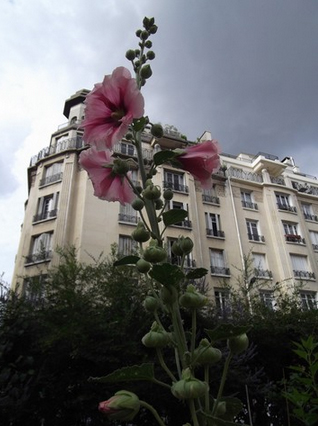Fêtons aussi les 10 ans du jardin Nomade !
