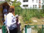 fleurs_de_bitume_-_photo_2-2.jpg