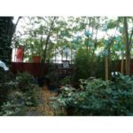 les-splendeurs-du-jardin-de-camille-t-a-saint-ouen-.jpg