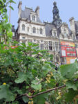 parvis-groseille.jpg
