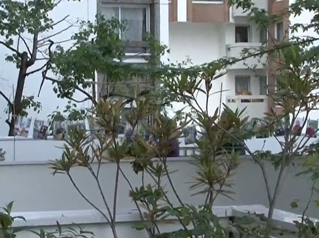 Les Jardins du Béton