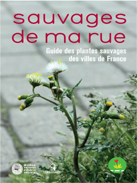 Sauvage de ma rue