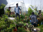 dsc00724.jpg