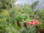 dsc00875.jpg