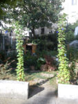 dsc01077.jpg