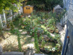 dsc01108.jpg