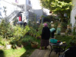 dsc01183.jpg