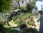 dsc01660.jpg